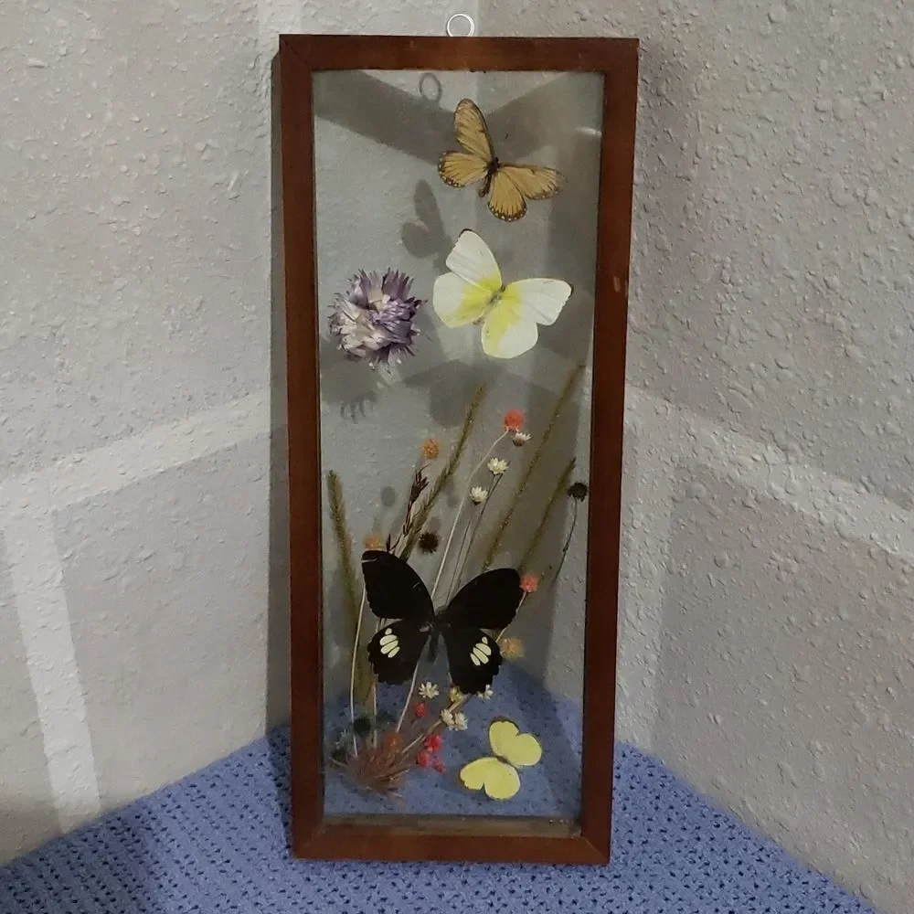 Stunning Butterfly & Dried Flowers Mounted In Shadow Box Framed Wall Art